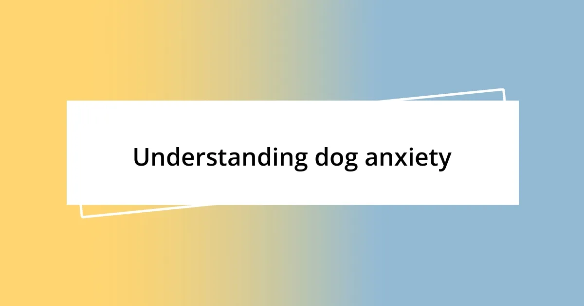 Understanding dog anxiety