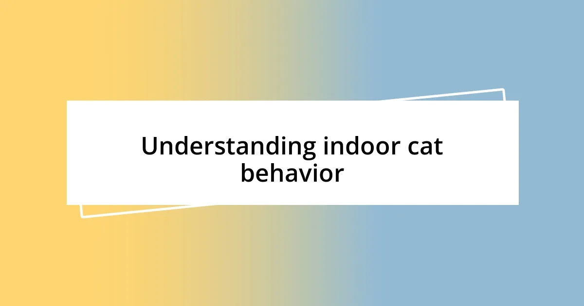 Understanding indoor cat behavior