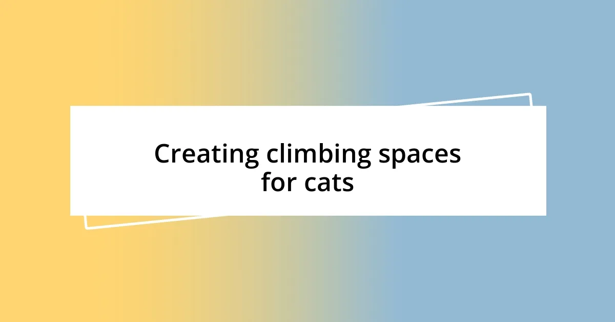 Creating climbing spaces for cats