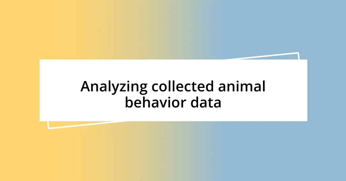 Analyzing collected animal behavior data