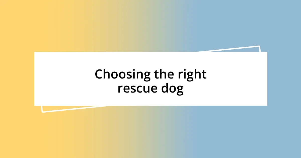 Choosing the right rescue dog