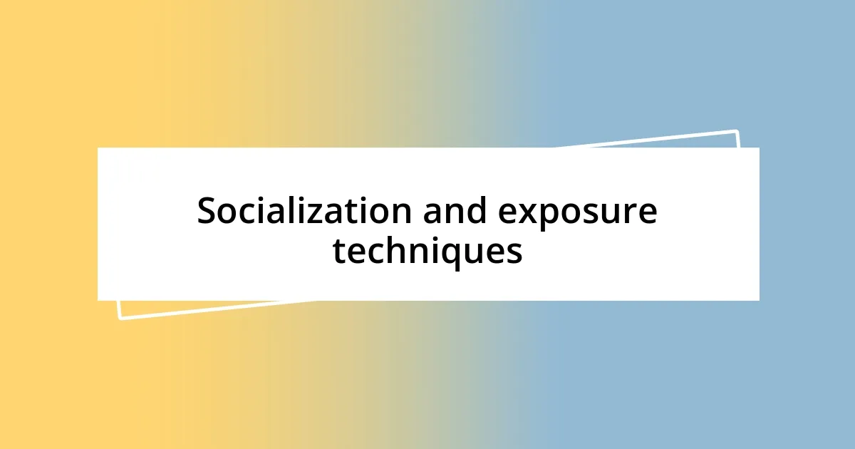 Socialization and exposure techniques