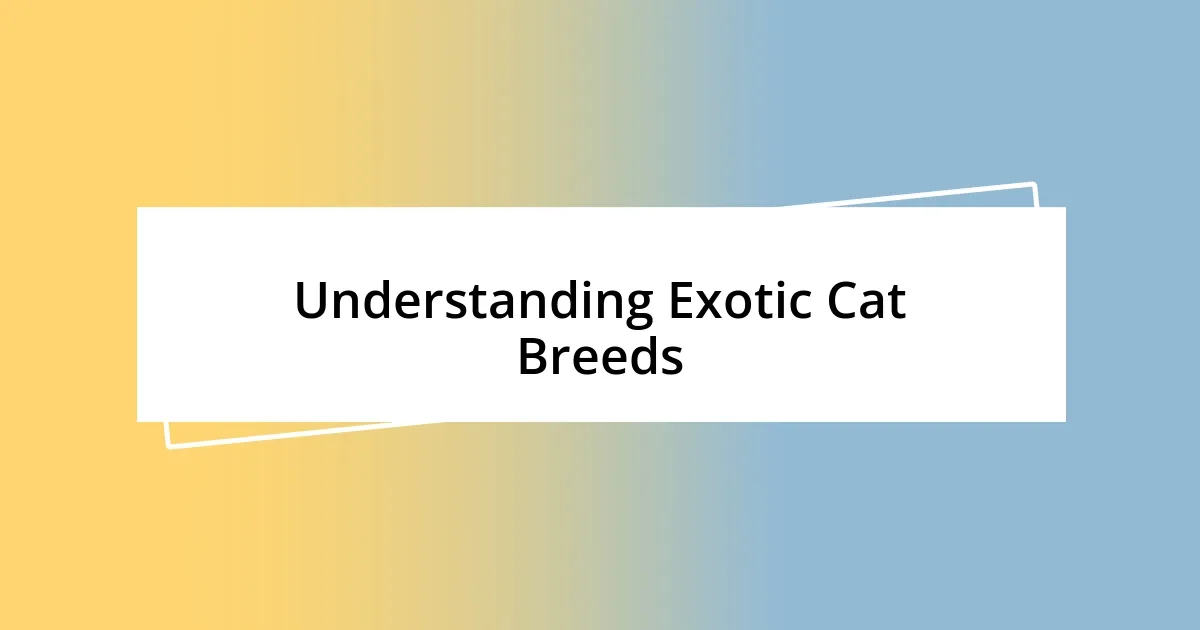 Understanding Exotic Cat Breeds