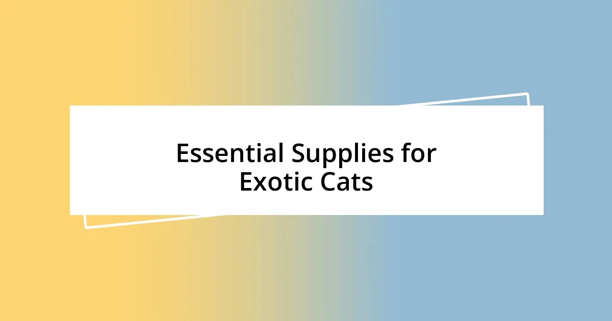 Essential Supplies for Exotic Cats