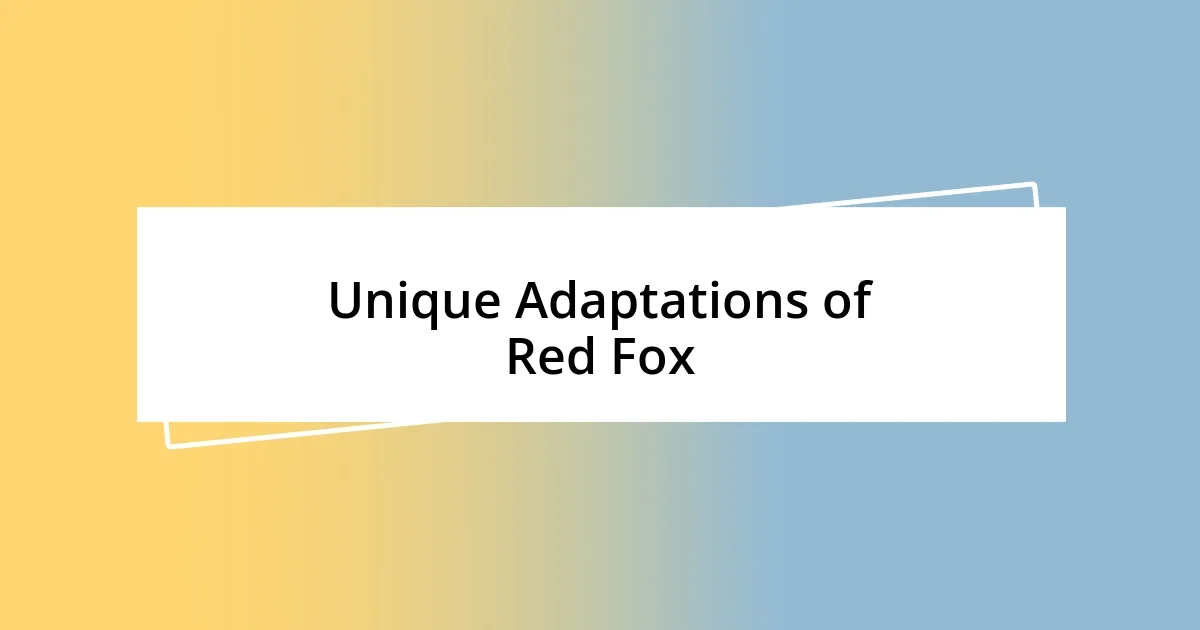 Unique Adaptations of Red Fox