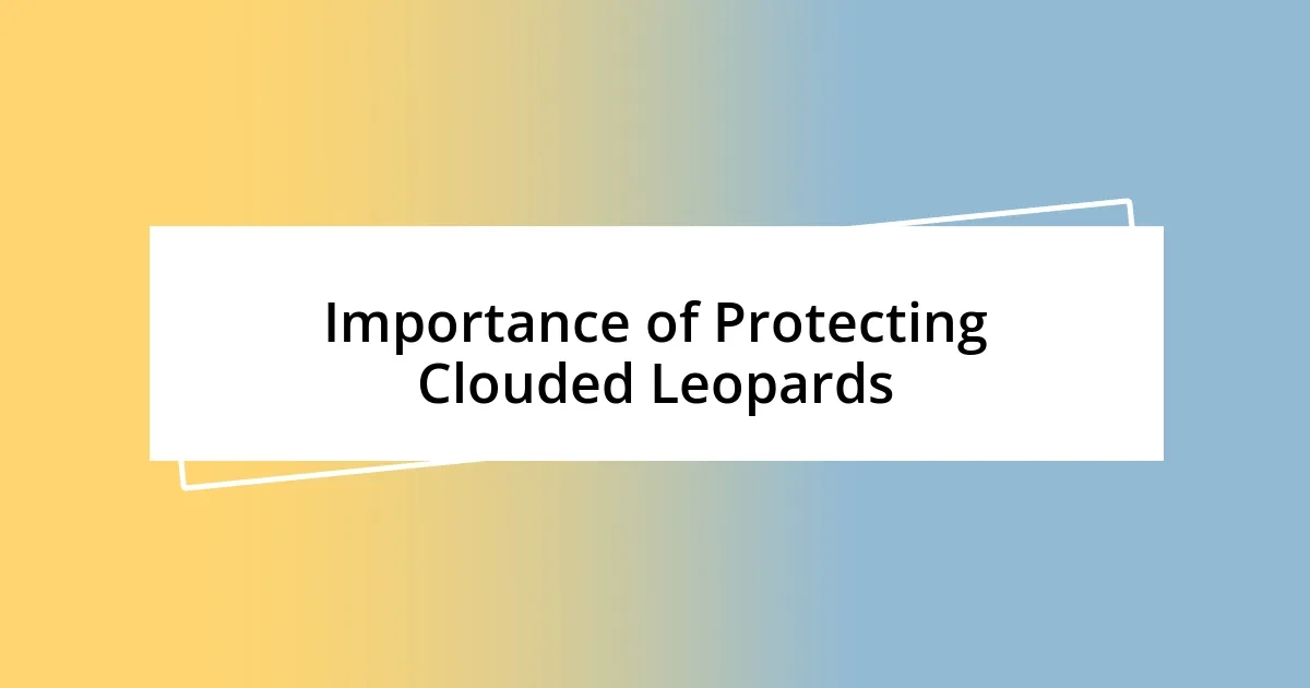 Importance of Protecting Clouded Leopards