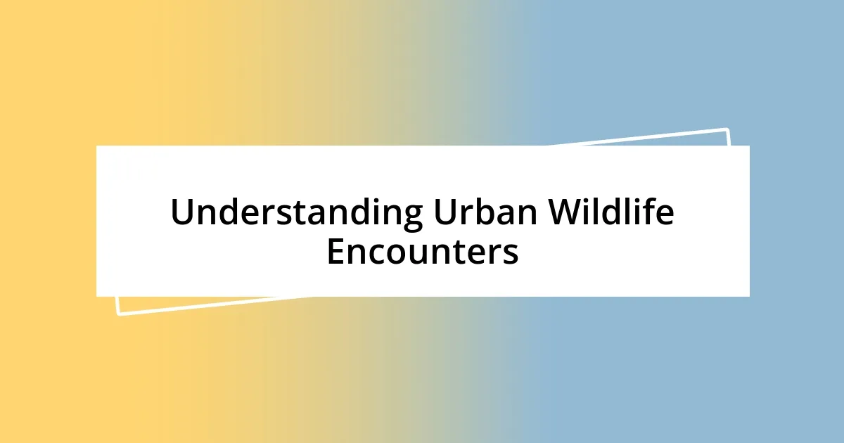 Understanding Urban Wildlife Encounters