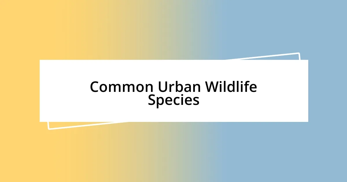 Common Urban Wildlife Species