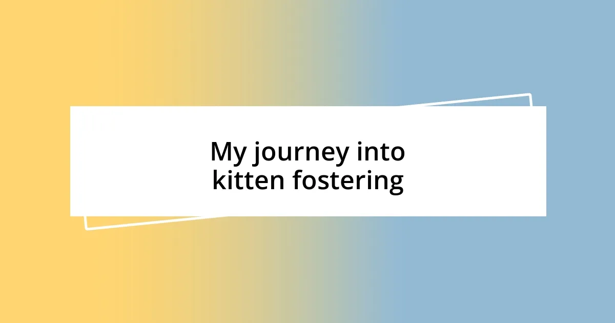 My journey into kitten fostering