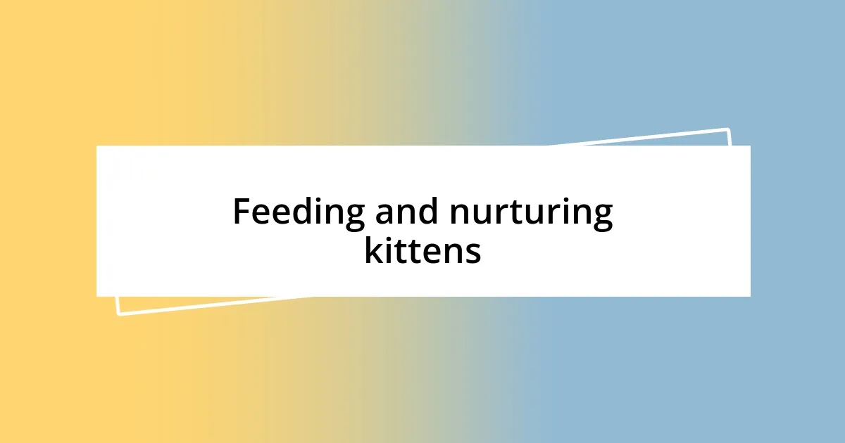 Feeding and nurturing kittens