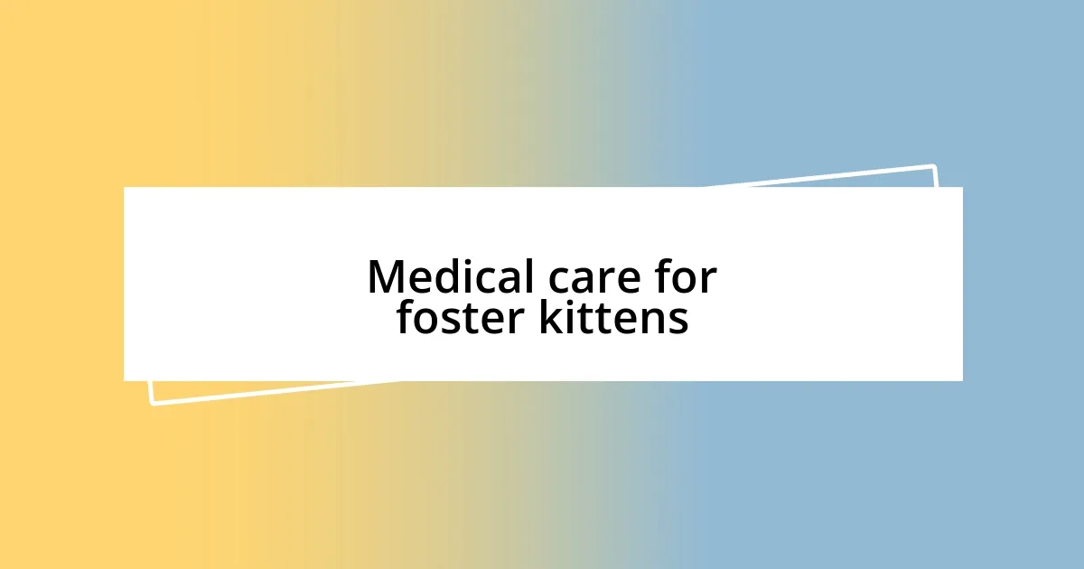 Medical care for foster kittens