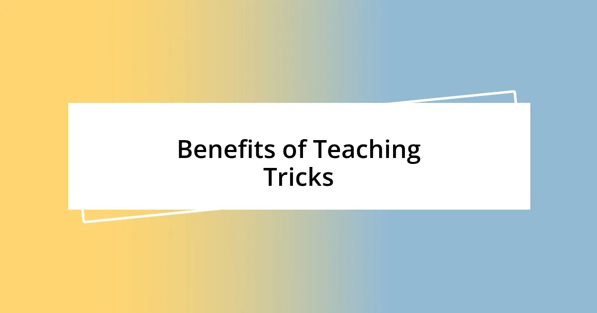 Benefits of Teaching Tricks