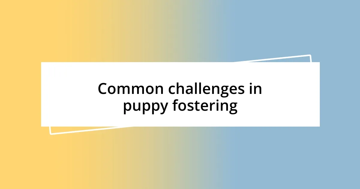 Common challenges in puppy fostering