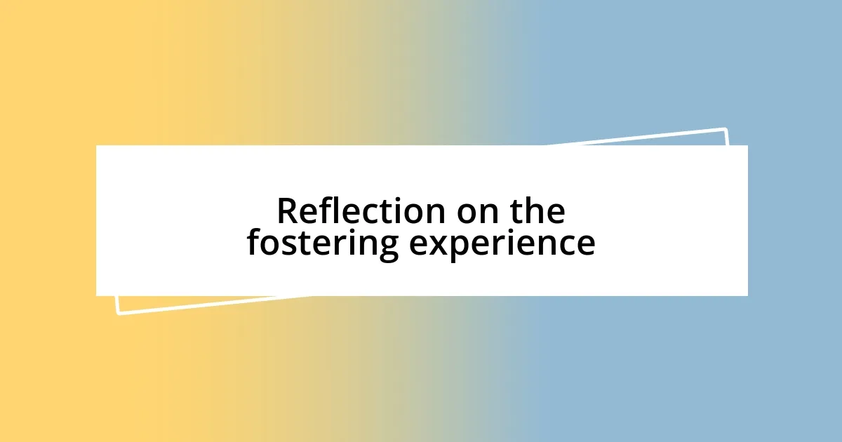 Reflection on the fostering experience