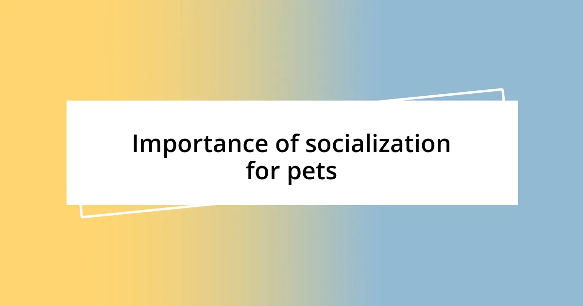 Importance of socialization for pets