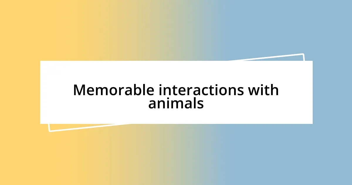 Memorable interactions with animals