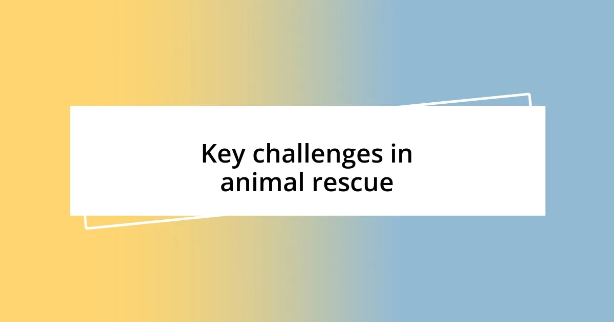 Key challenges in animal rescue