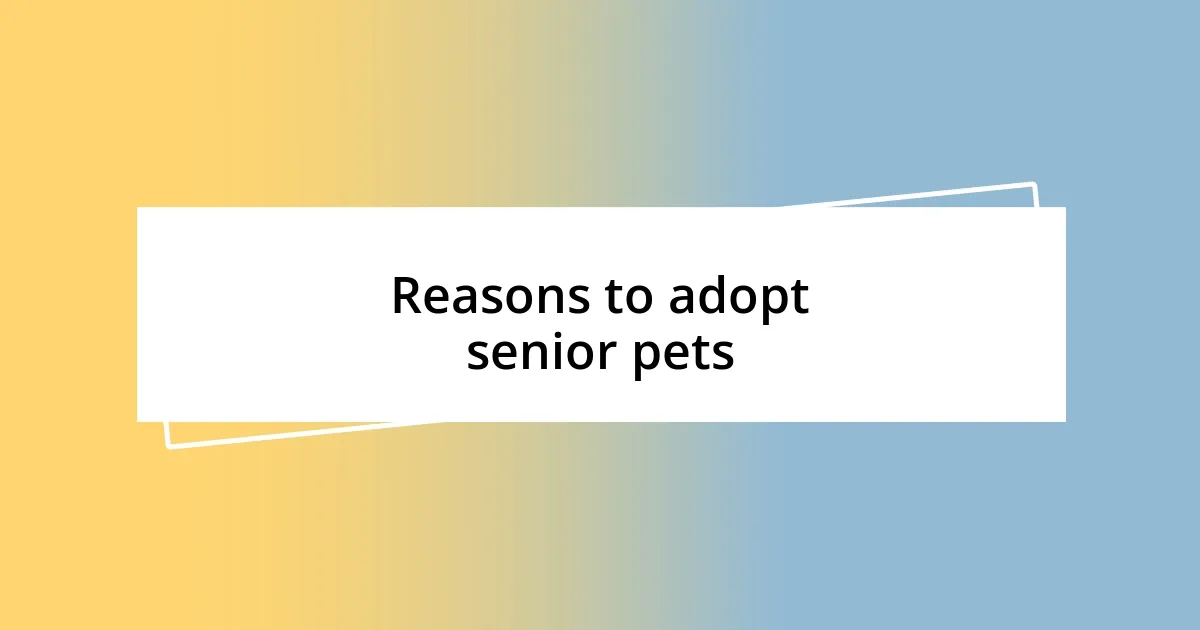 Reasons to adopt senior pets