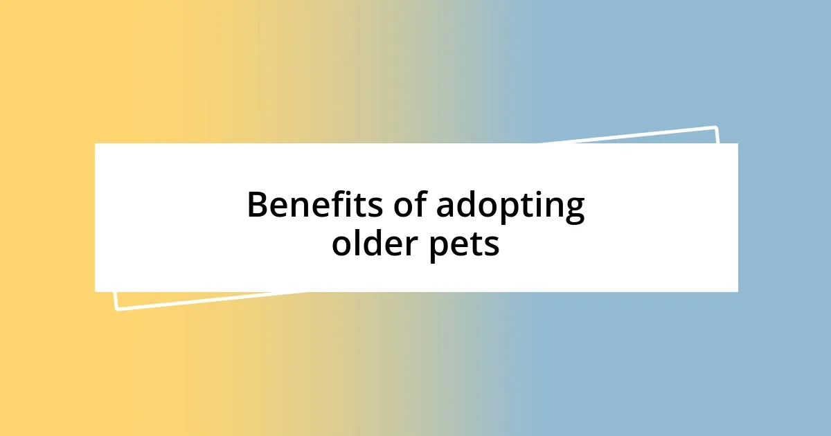 Benefits of adopting older pets