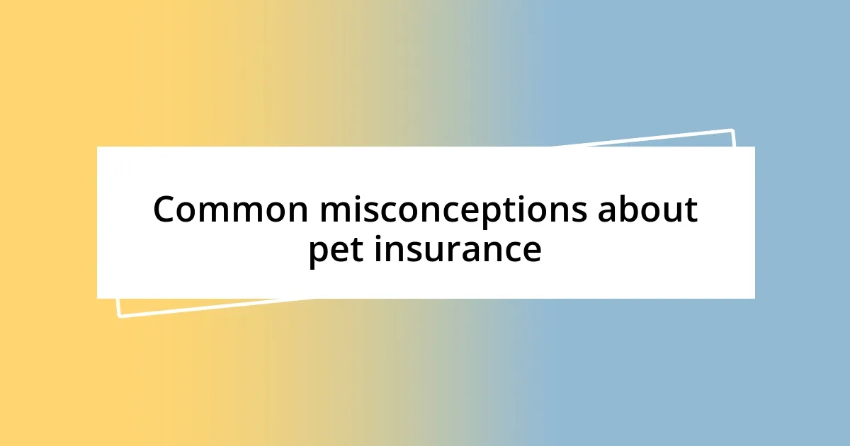 Common misconceptions about pet insurance