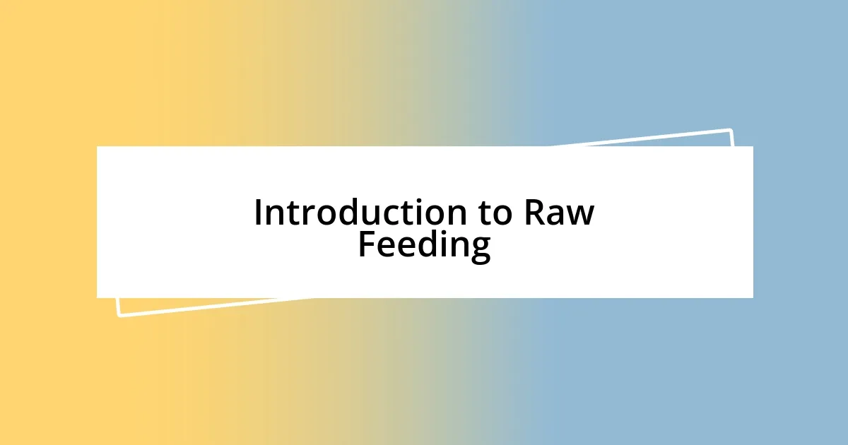 Introduction to Raw Feeding