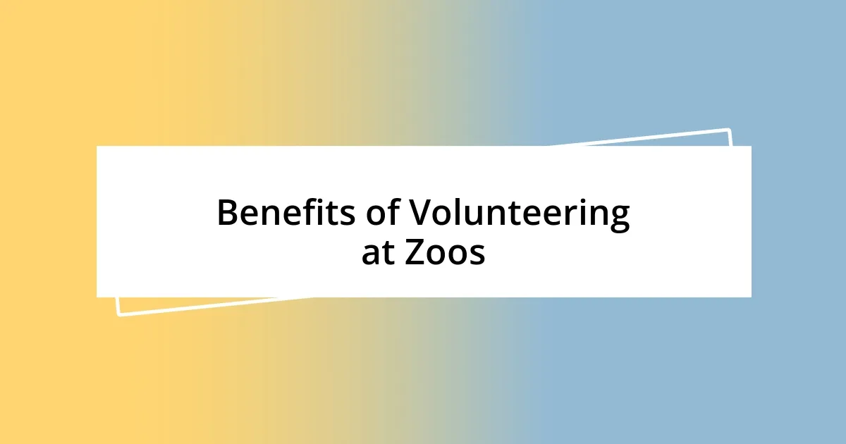 Benefits of Volunteering at Zoos