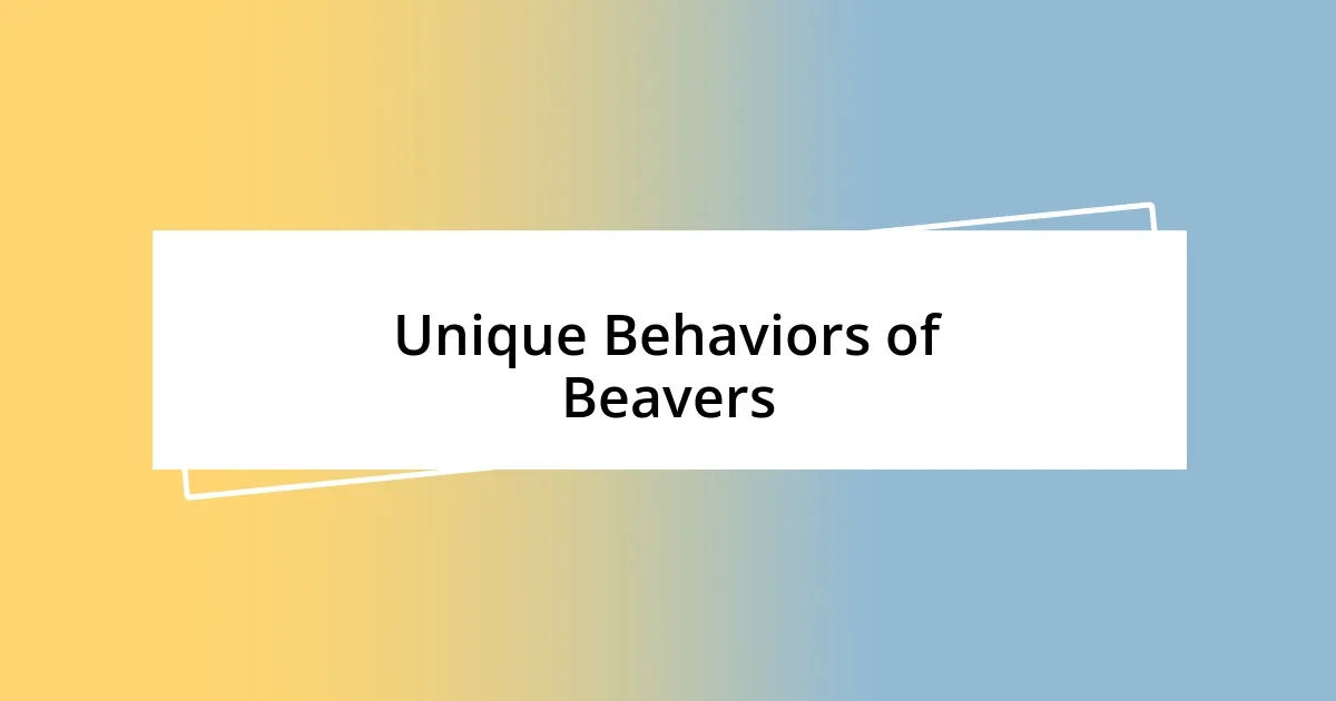 Unique Behaviors of Beavers