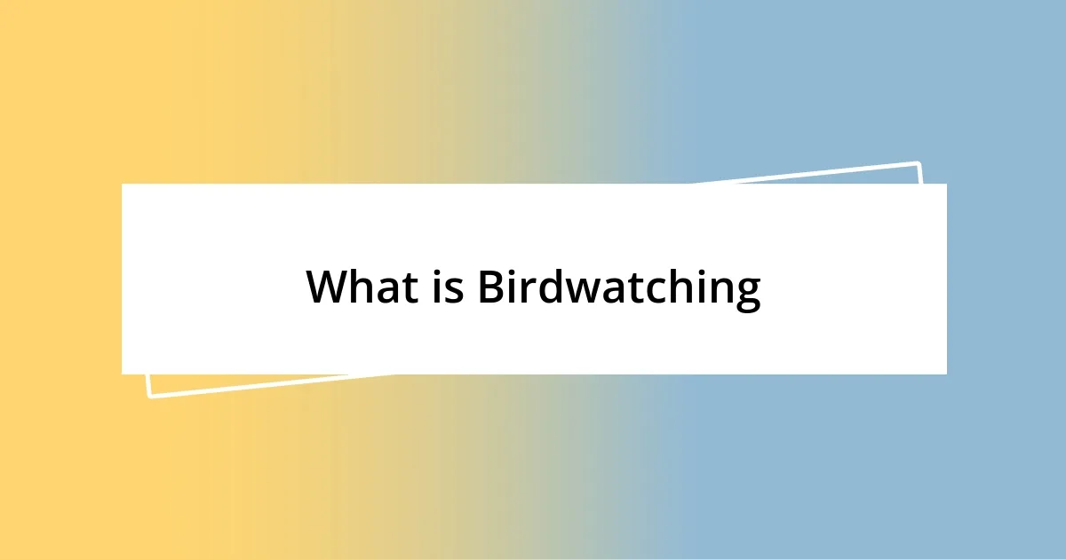 What is Birdwatching