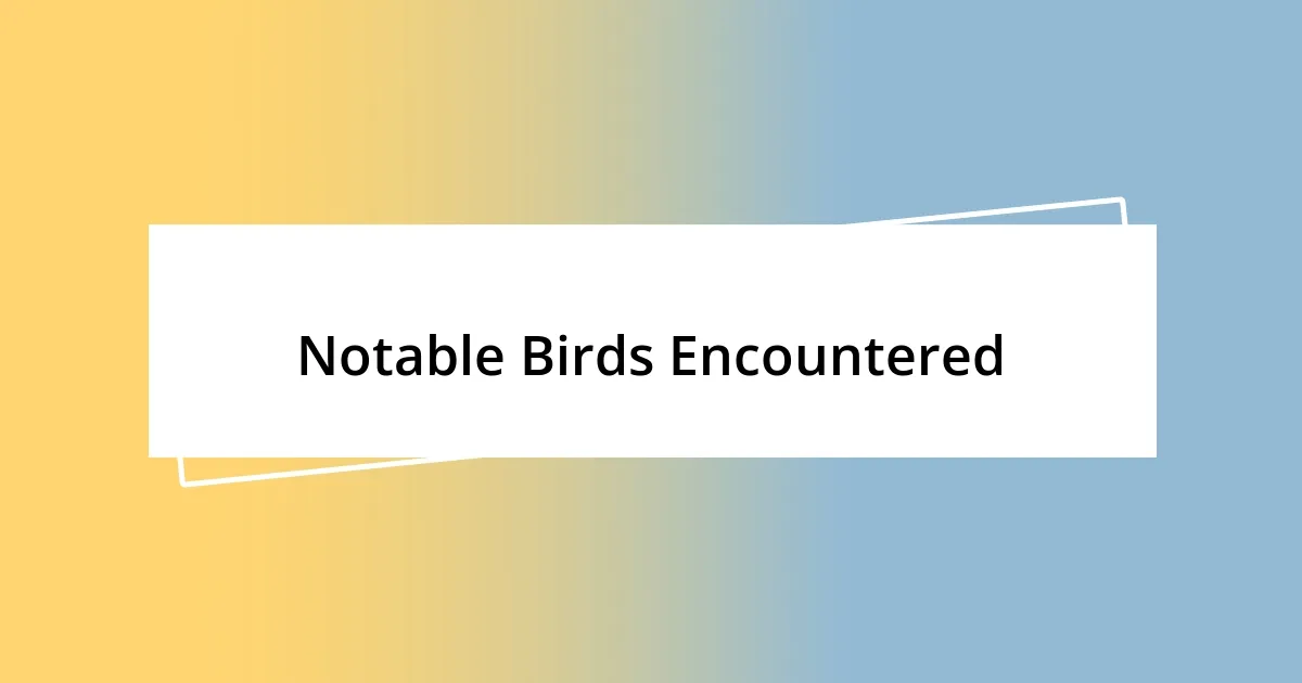 Notable Birds Encountered