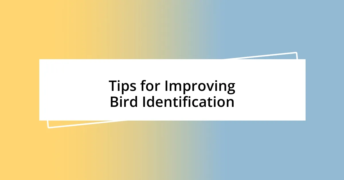 Tips for Improving Bird Identification