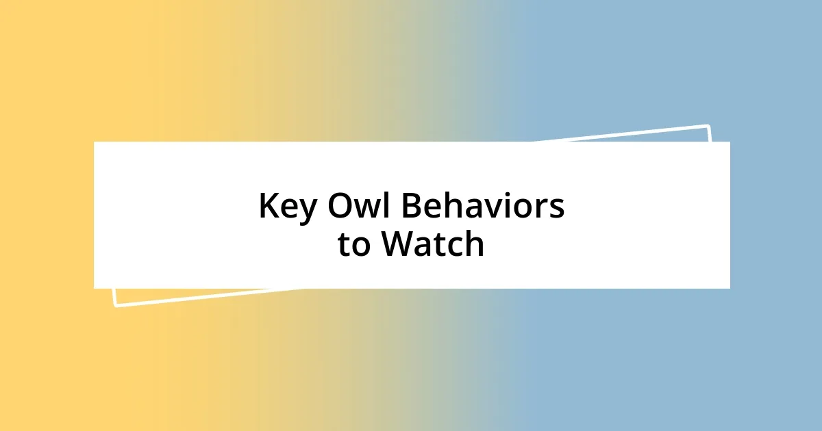 Key Owl Behaviors to Watch