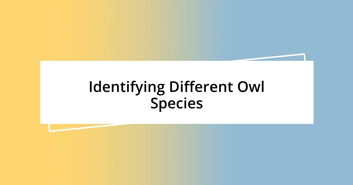 Identifying Different Owl Species