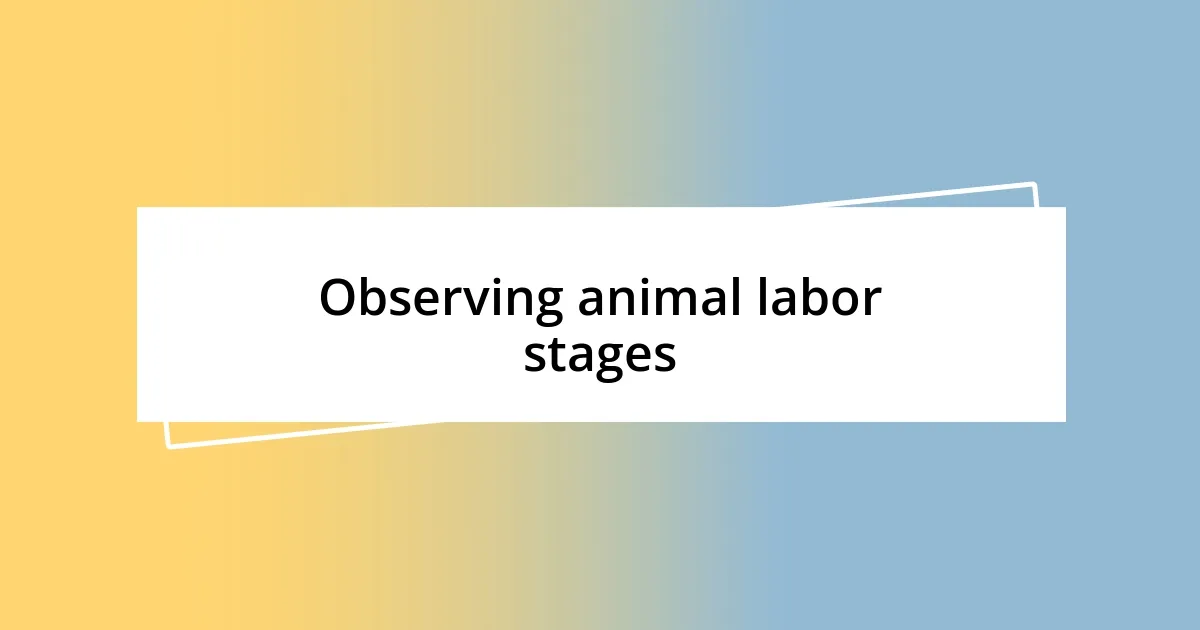 Observing animal labor stages