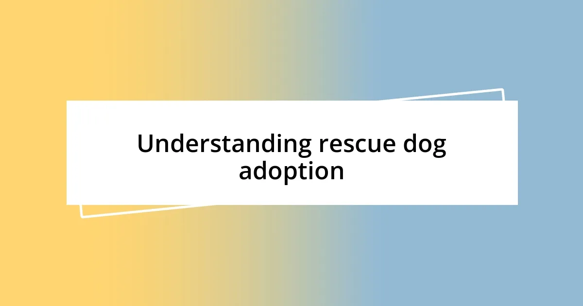 Understanding rescue dog adoption