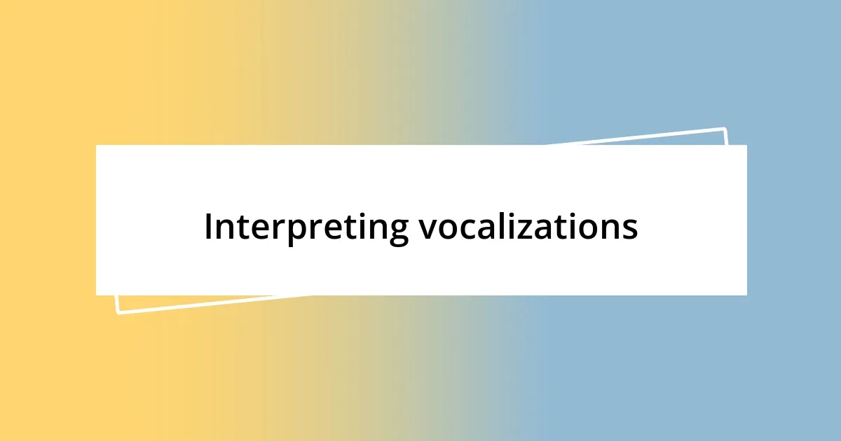 Interpreting vocalizations