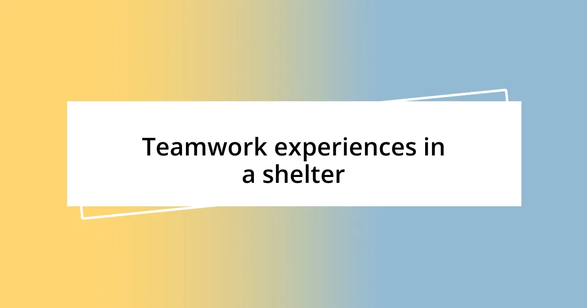 Teamwork experiences in a shelter