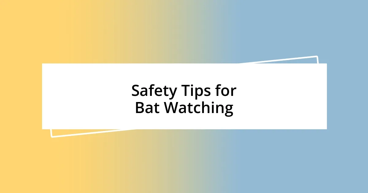 Safety Tips for Bat Watching