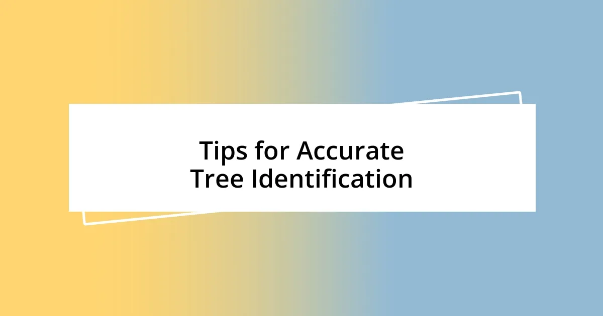 Tips for Accurate Tree Identification