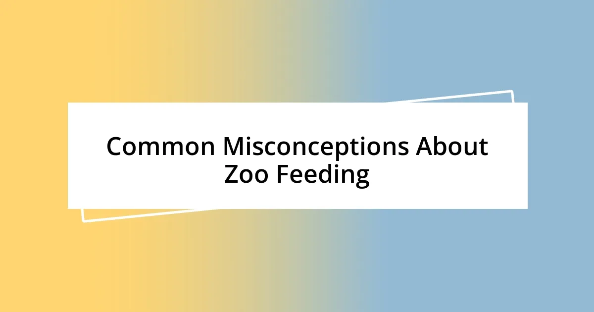 Common Misconceptions About Zoo Feeding