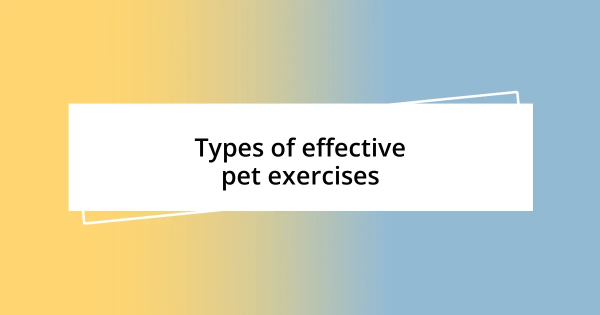 Types of effective pet exercises