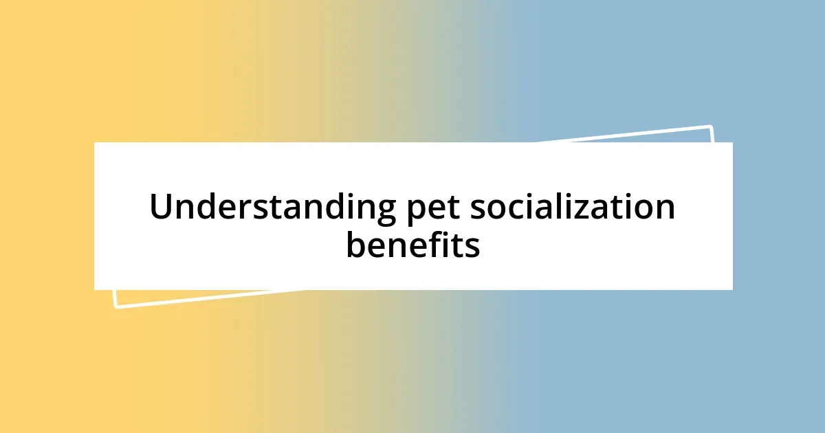 Understanding pet socialization benefits