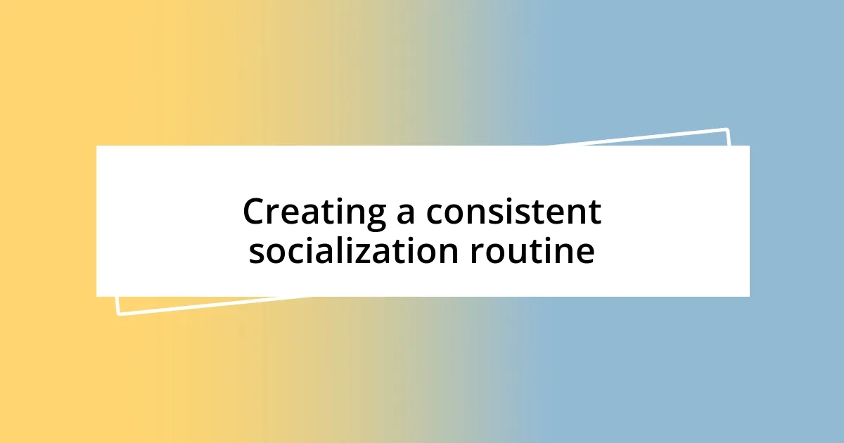 Creating a consistent socialization routine