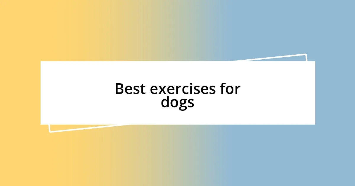 Best exercises for dogs