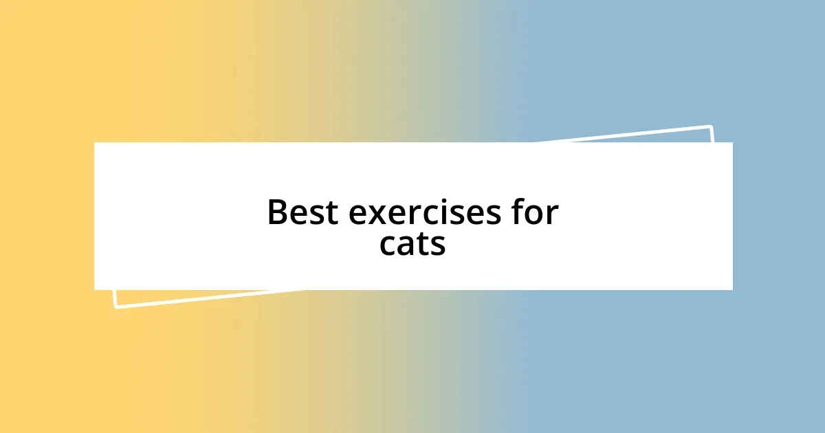 Best exercises for cats